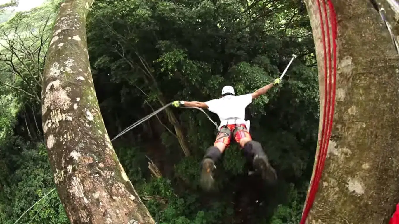 La sensation forte du saut à l'élastique