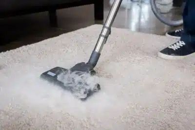 Location de nettoyeur vapeur la solution efficace contre les punaises de lit