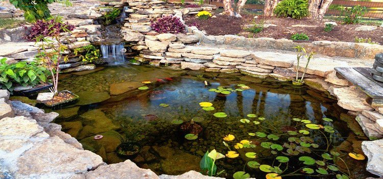 Comment réussir la décoration de son bassin ?