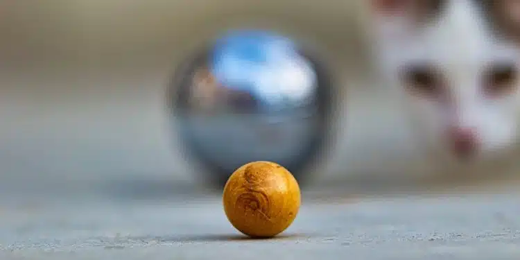 Boule de pétanque à choisir pour arriver proche du cochonnet