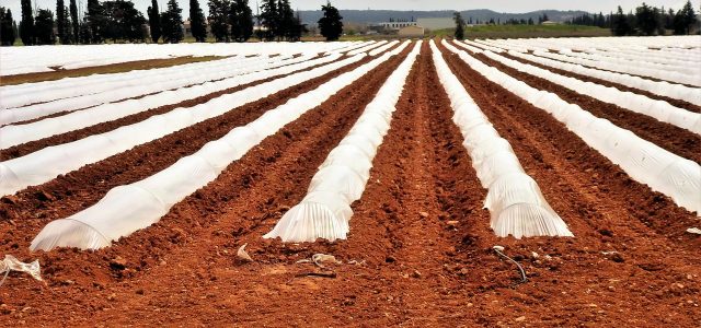 Découvrez les 8 branches de l’agroalimentaire
