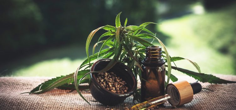 Les bienfaits du cannabis médical