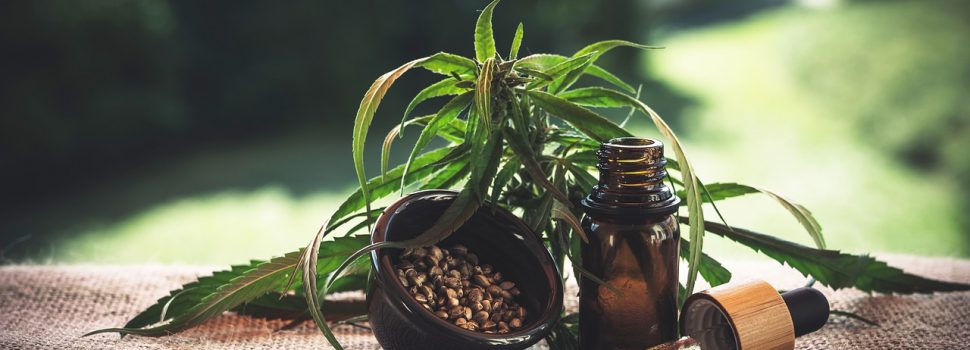Les bienfaits du cannabis médical