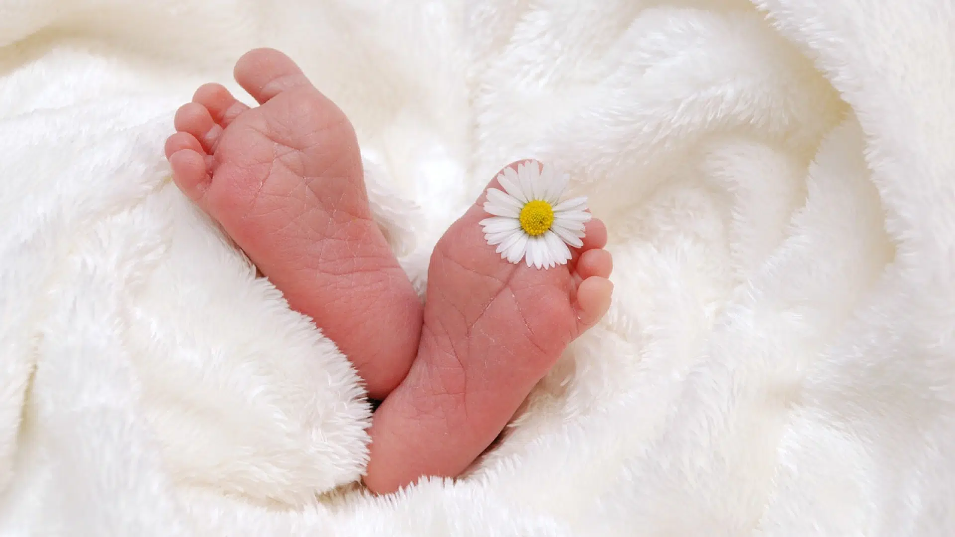 Comment personnaliser son faire-part de naissance ?