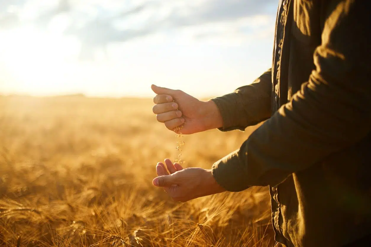 assurance agriculteur