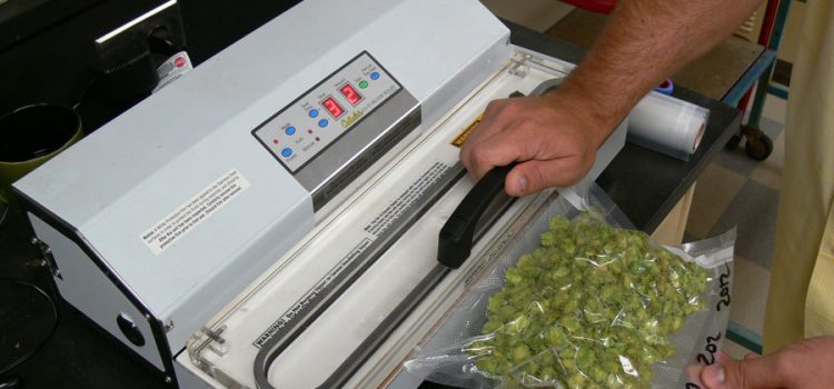 Conserver des aliments sous vide : comment s’y prendre ?