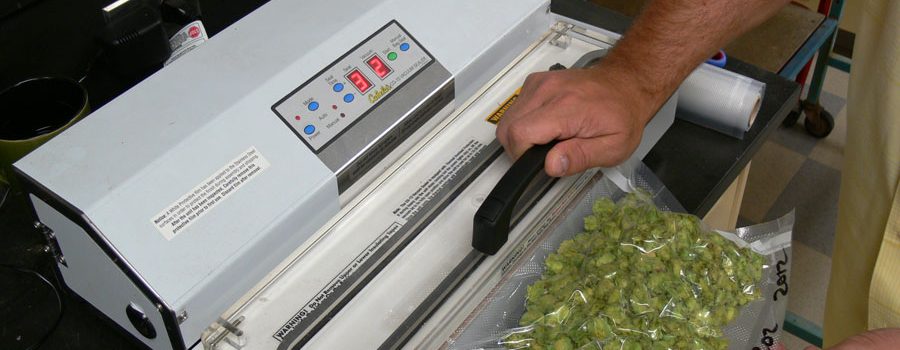 Conserver des aliments sous vide : comment s’y prendre ?