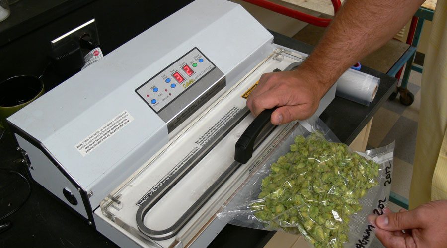 Conserver des aliments sous vide : comment s’y prendre ?