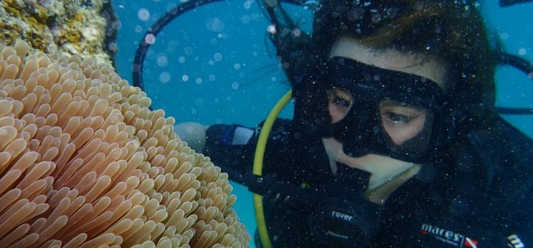 Espagne : des trafiquants faisant de la plongée sous-marine pour acheminer de la drogue