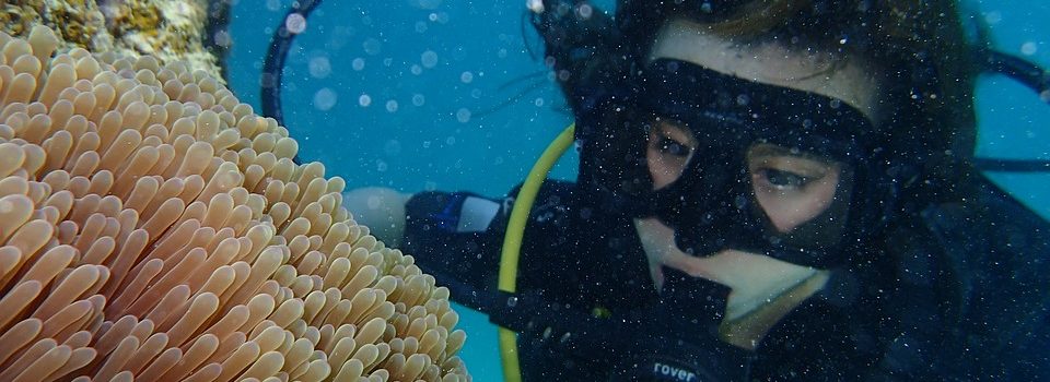 Espagne : des trafiquants faisant de la plongée sous-marine pour acheminer de la drogue