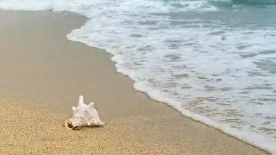 Mimizan Plage pour vos prochaines vacances, ça vous tente ?