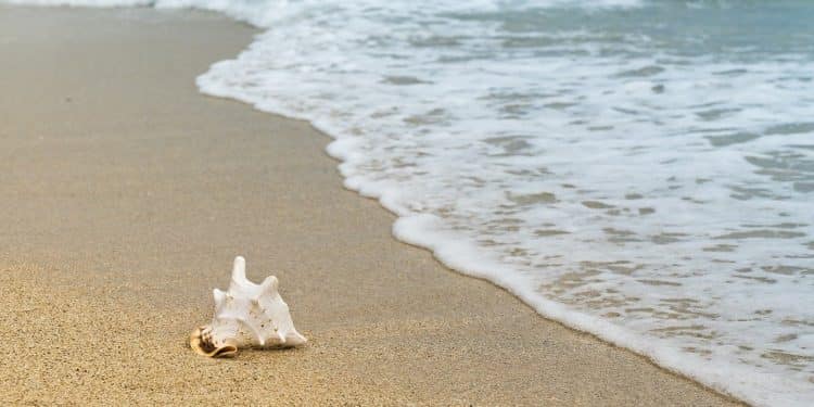 Mimizan Plage pour vos prochaines vacances, ça vous tente ?