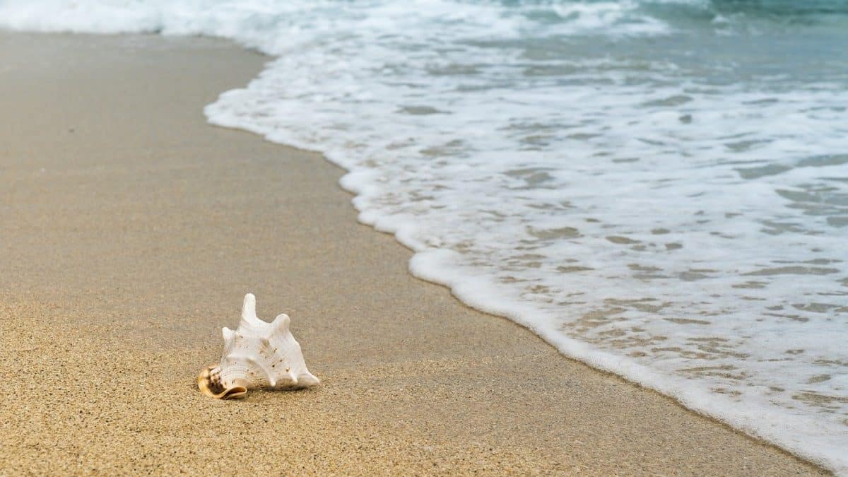 Mimizan Plage pour vos prochaines vacances, ça vous tente ?