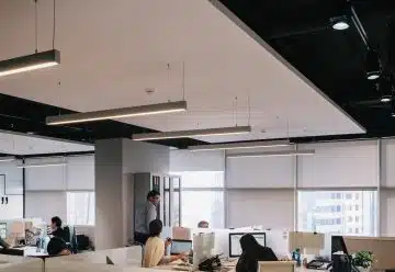 people inside office