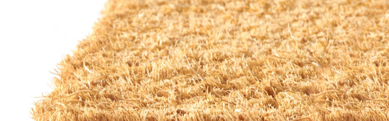 Comment choisir un tapis en coco ?