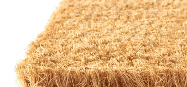 Comment choisir un tapis en coco ?