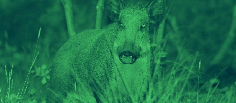 Zoom sur l’optique de vision nocturne