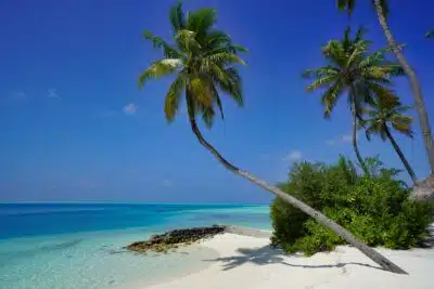 plage paradisiaque