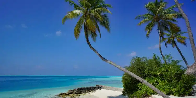 plage paradisiaque